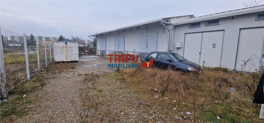 Oportunitate de Achiziție: Spațiu Industrial în Alba Iulia