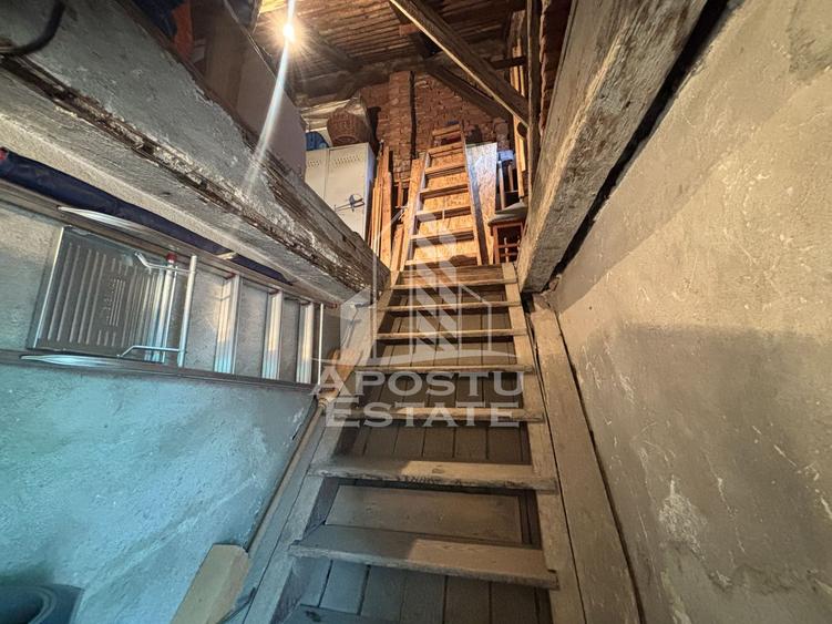 Casa 2 camere de vanzare Calea Sagului, Timisoara, curte comuna