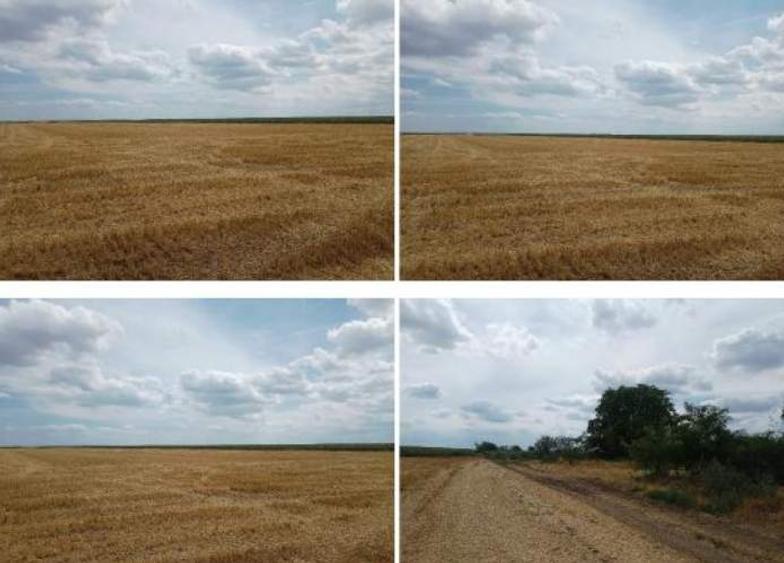 Teren agricol extravilan Frumusani 22810 mp