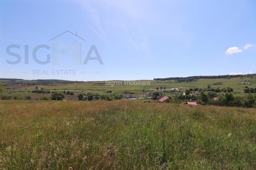 Teren intravilan de vanzare – 3.800 mp – Babutiu, jud. Cluj - 2