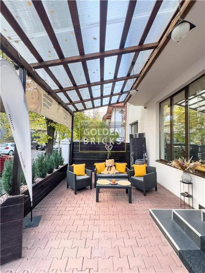 Cotroceni | Pretabila Clinica - Spa | Vila eleganta | Terasa