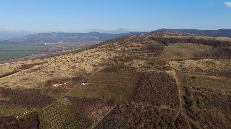 Vita-de-vie Premium teren de 6800 mp în Covăsinț