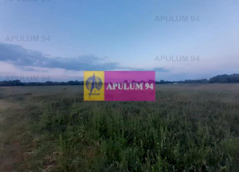 Teren aproape de Bucuresti langa padure