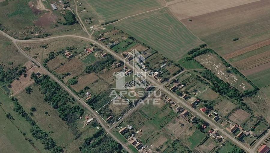Teren intravilan pentru investitie, 2896 mp, Herneacova Timis - 3