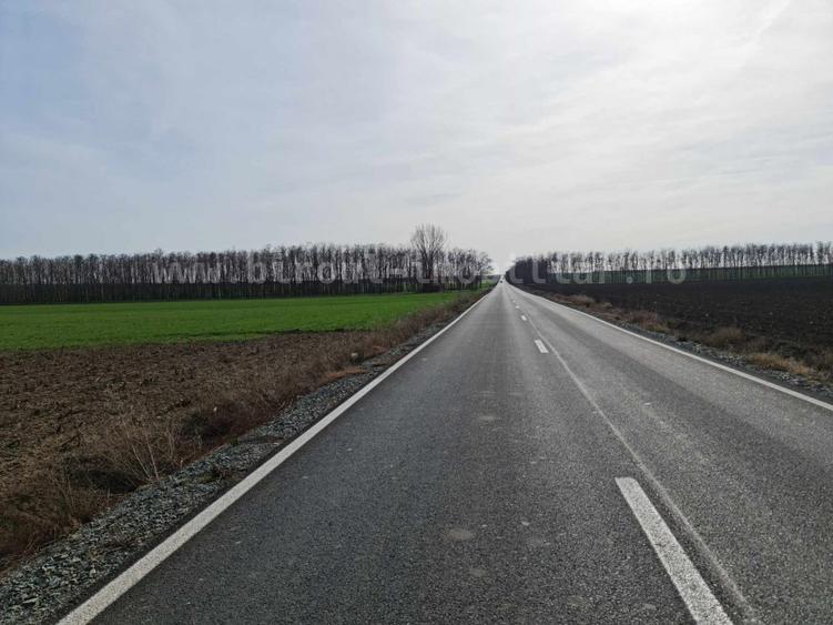 Vânzare teren agricol comasat plus microferma direct la sosea