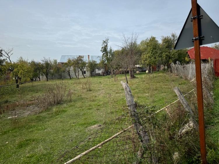 Pitesti-Stefanesti-Crama Stefanesti teren de vanzare Comiaion 0