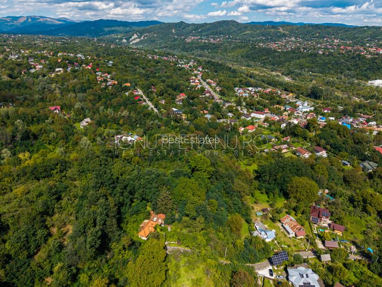 Teren 3.886 mp, Breaza - Podu Vadului, 30 m deschidere la asfalt - 12