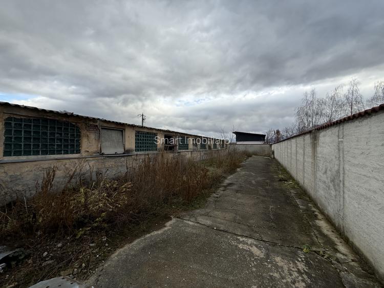 Hală industrială în Prejmer – 2000 mp + curte 2300 mp - 5