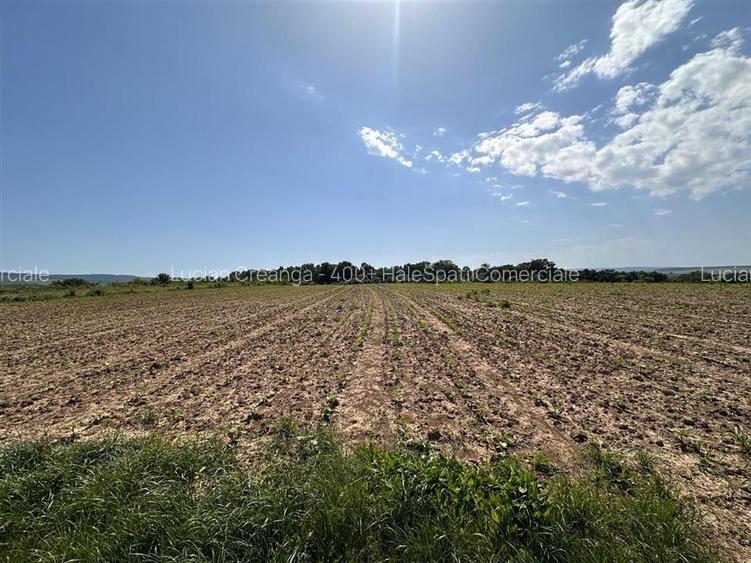 Teren langa padure pentru casa, Cercu, Barnova, de la 500mp la 4000mp - 7