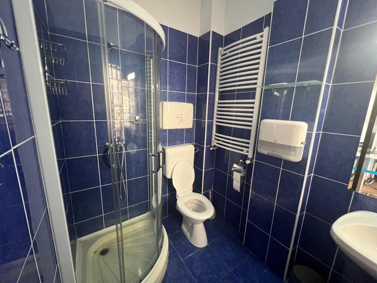 Domenii - 6 rooms villa for rent