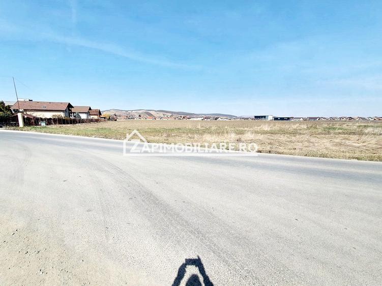 Teren 27.000 mp.deschidere la 2 drumuri ,75 euro mp.