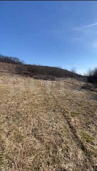Livadă de nuci – 2 ha | Acces DN17 | Investiție profitabilă - Cristur - 2
