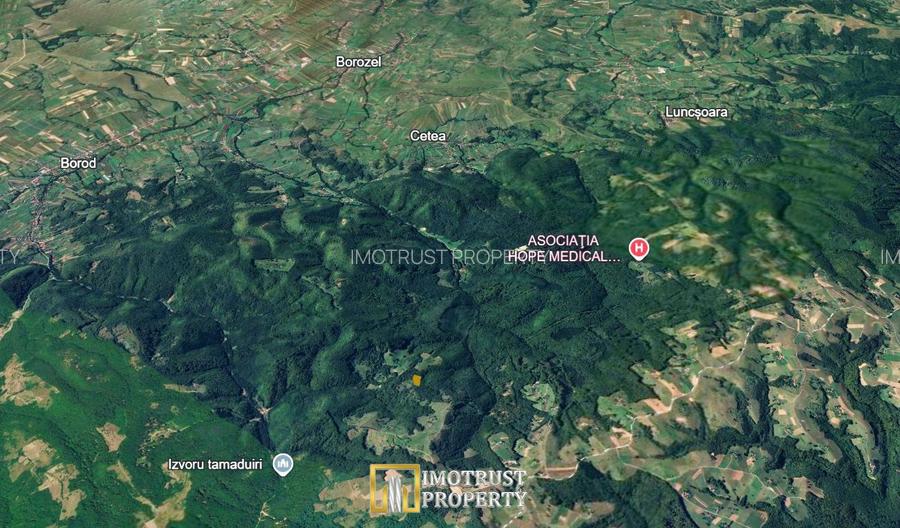 Pădure și pășune de vânzare 8,2037 ha Borod, Bihor