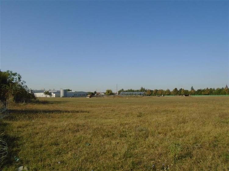 Teren industrial cu acces din centura (PUZ in lucru)
