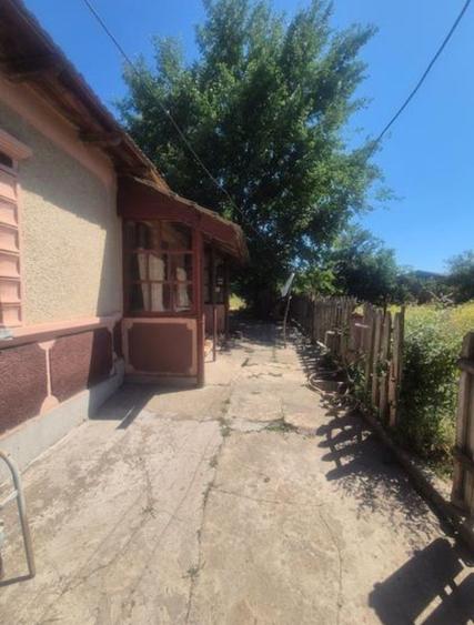 23 August teren intravilan 1400 mp + casa 5 camere central