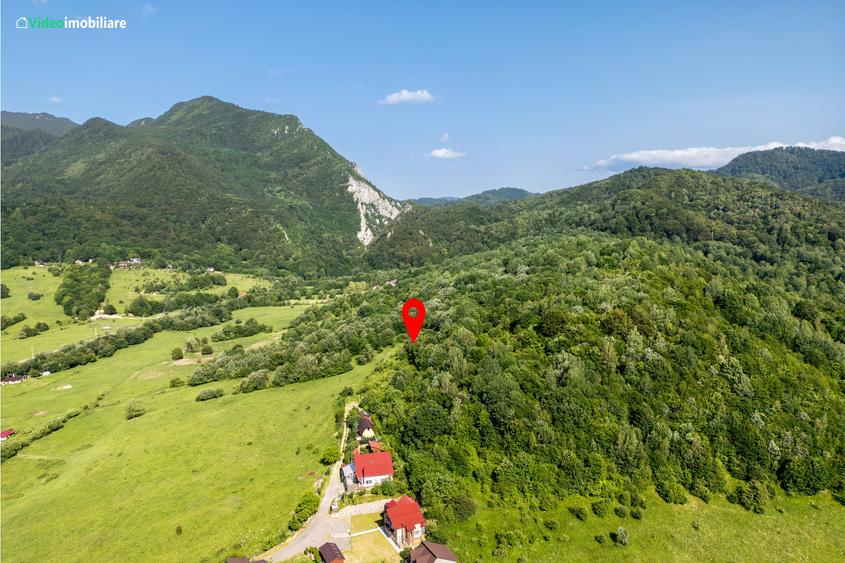 Teren cu vedere superba spre Cheile Rasnoavei, 8800 mp, la marginea pădurii