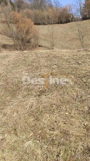 Teren 5000 mp, ideal cabana, pensiune, in zona de interes turistic Rucar-Bran