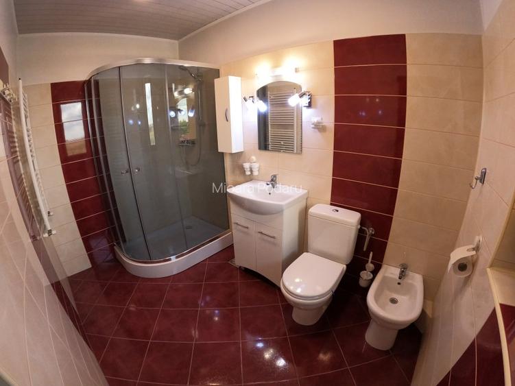 Casa cu etaj, mansarda, curte, 3 dormitoare, 3 camere de zi, 4 bai. Com. Smardan
