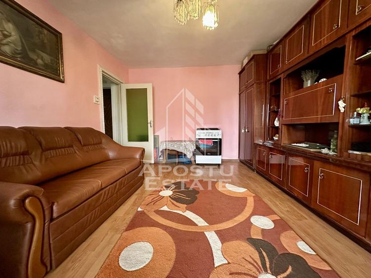 Apartament cu 2 camere, centrala proprie, zona Dambovita, Timisoara