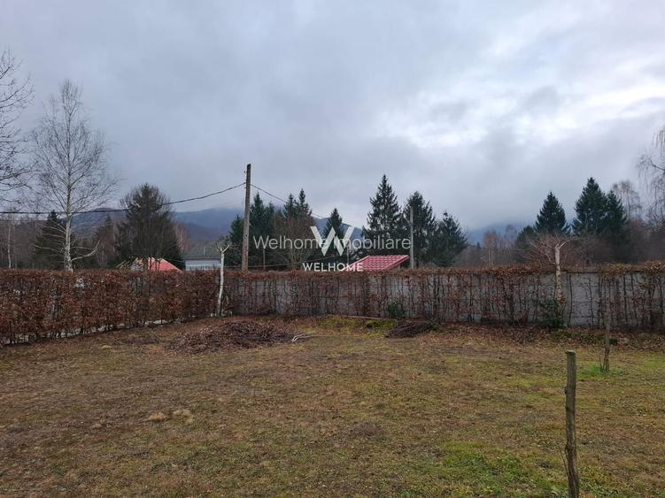 Teren intravilan, livada, langa padure,  pe Valea Avrigului - Sibiu - 2