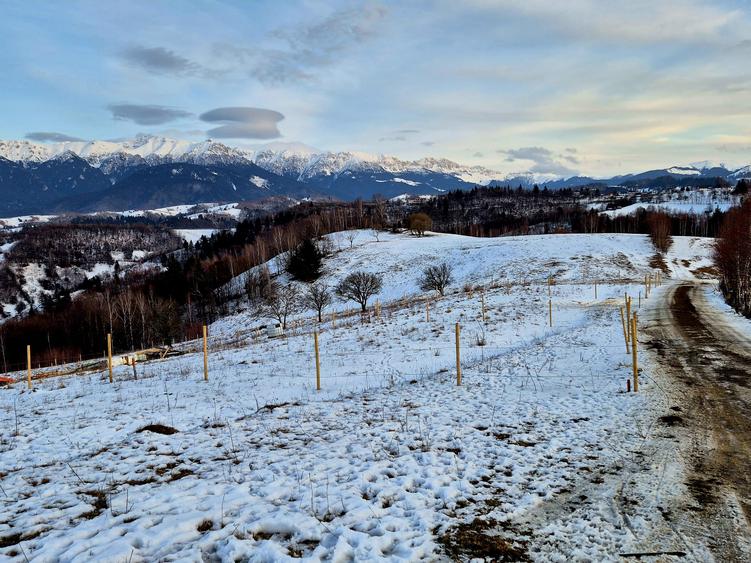 Sat Peștera – Moeciu | Vedere panoramică Bucegi & Piatra Craiului