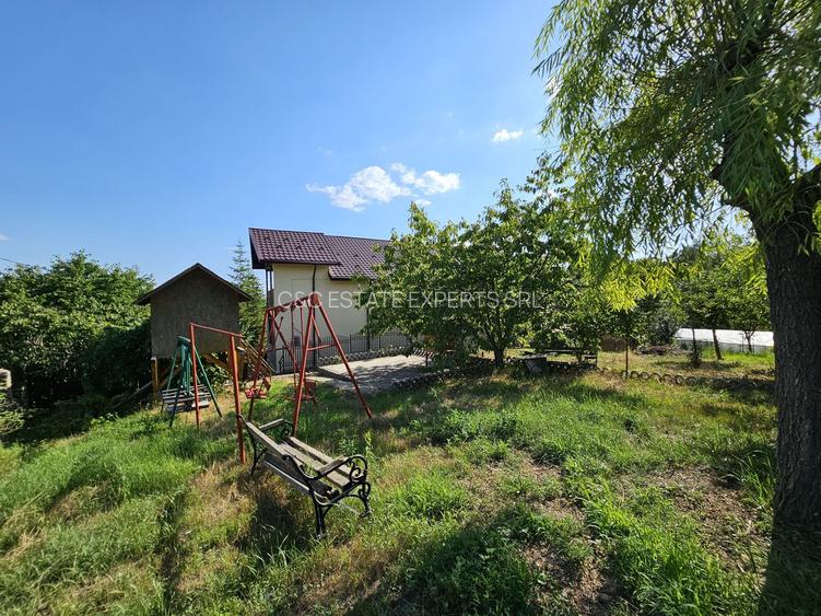 Vila superba de vanzare in Vintila Voda, Buzau D+P+1 si anexe - 46