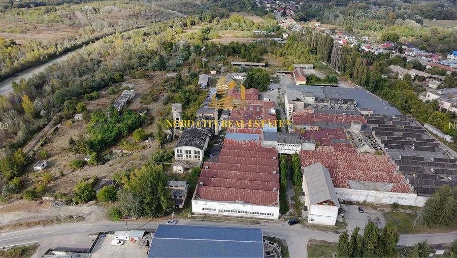 Platforma Industriala-8 ha -Fabrica-Hale Productie-21.500 mp - 5