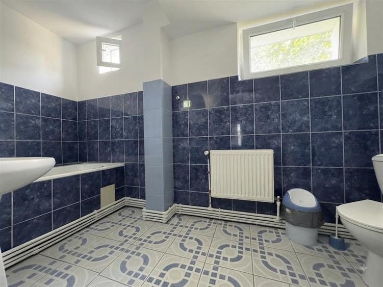 Vila  de vanzare  Valea Lupului,-Popas Pacurari