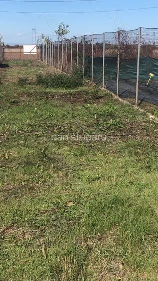 Teren rezidential 1352mp langa padure. Ciorogarla -toate utilitatile la poarta - 5