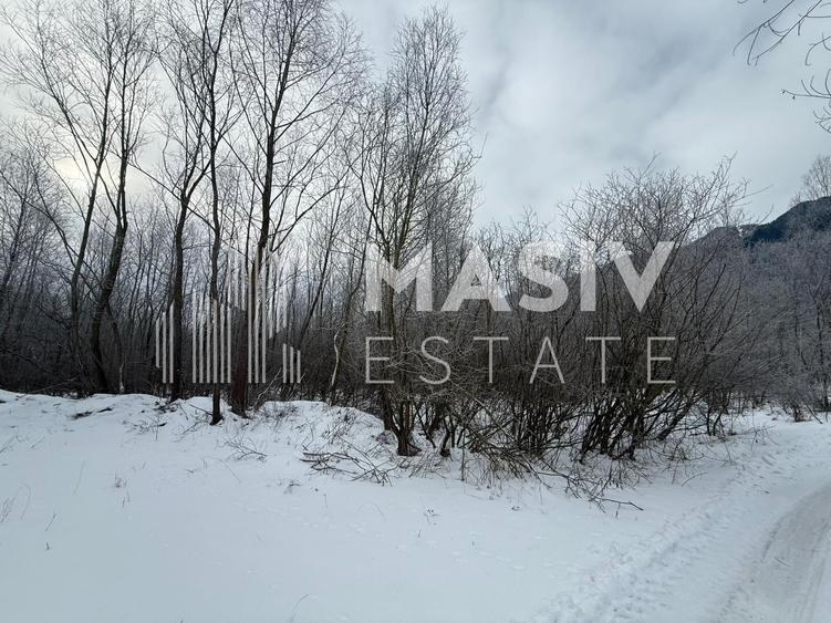 Teren intravilan 6.093 mp – Piatra Arsă, Bușteni, dezvoltare turistică premium!