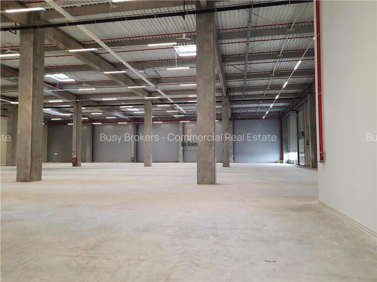Spatiu Industrial - 5000 mp - Logistica - Productie - Depozitare - Distributie - 8