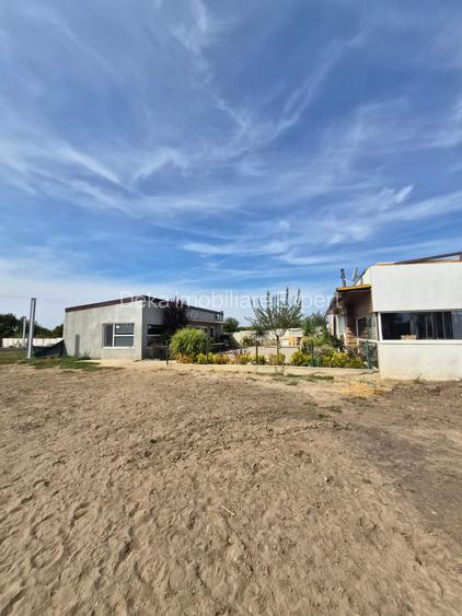 AFACERE LA CHEIE - Equitopia Ranch Bragadiru!