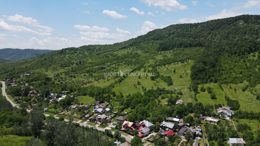 Teren spectaculos cu padure, livada si priveliste panoramica in Soimari PH