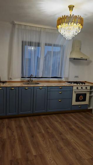 Oportunitatea casa Snagov / The opportunity of the Snagov house