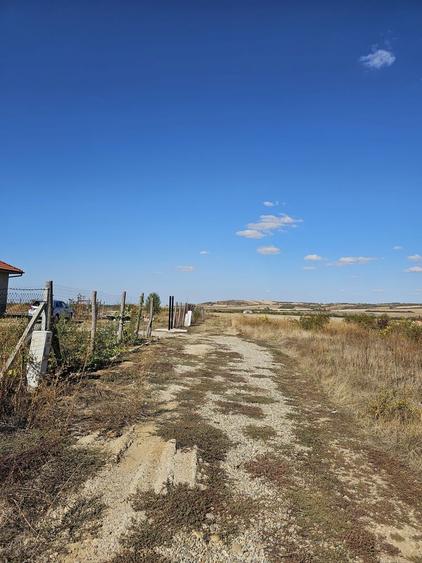 Teren Intravilan Paleu 1025 mp