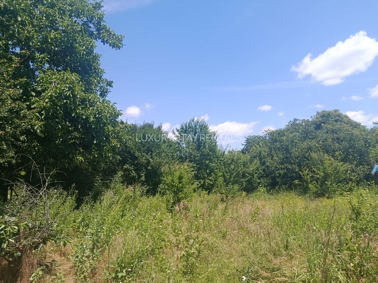 Casă de vânzare în Pitaru, județul Dâmbovița – 35.000 € negociabil - 3