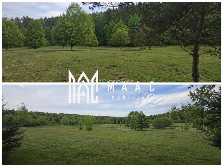 Teren extravilan 2000 mp | Rășinari | livadă, lângă Cisnădioara - 2
