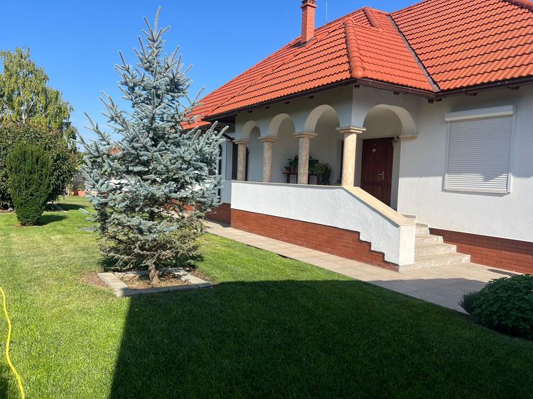 Casa 'din vis' frumoasa ,cocheta, la sol, caramida, 2014, 980 mp teren, M.Kogaln