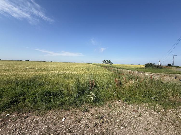 Teren 10 hectare pretabil pt panouri solare-Aricesti Rahtivani