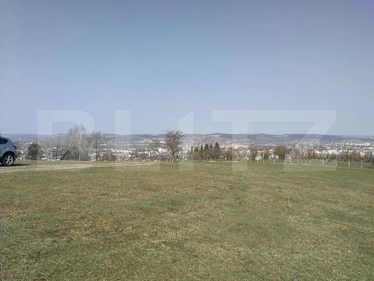 Teren intravilan, 15.904 mp, zona Dambu