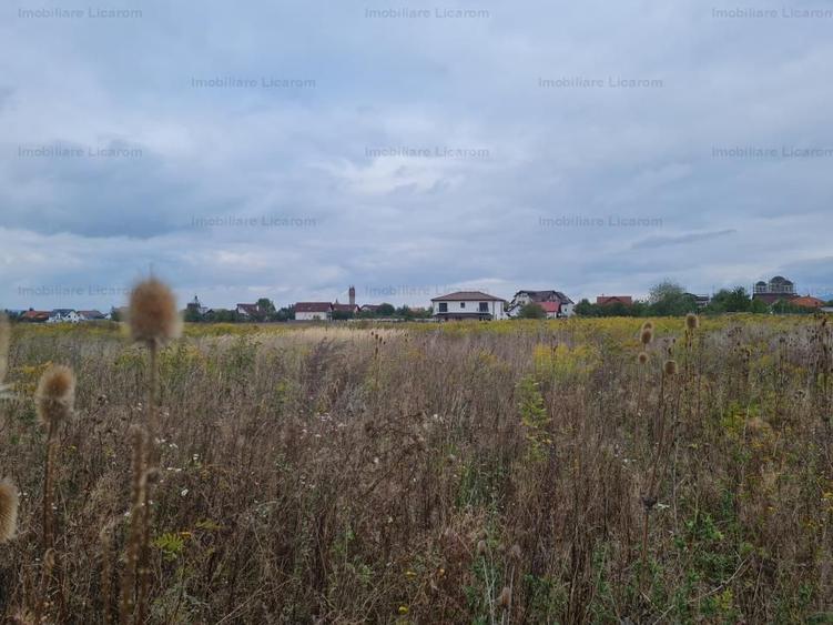 De vanzare teren 502 mp Harman Aleea 14 pret 40000 euro