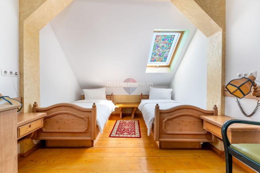 HOTEL Karol | Resedinta istorica, colectie de arta si patrimoniu - 23