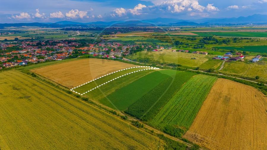 Oportunitate pentru fermieri: 10.800 mp teren arabil în Rotbav, Brașov