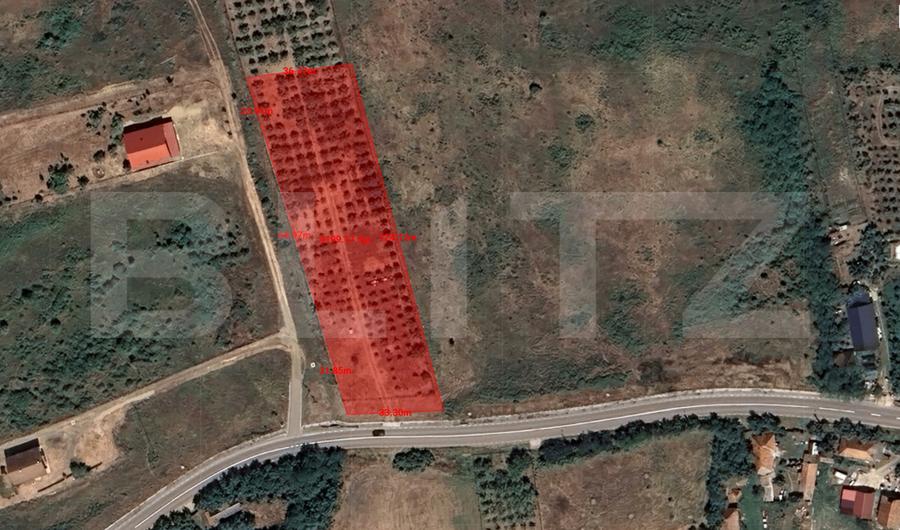 Teren intravilan - 4200 mp, parcelabil, construibil, cu livada, Răscruci