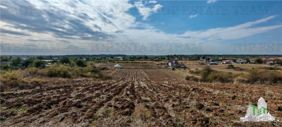 Ferma 3,3ha, din care 2,5ha intravilan, vila 7 camere, D+P+E+M, casa pentru munc