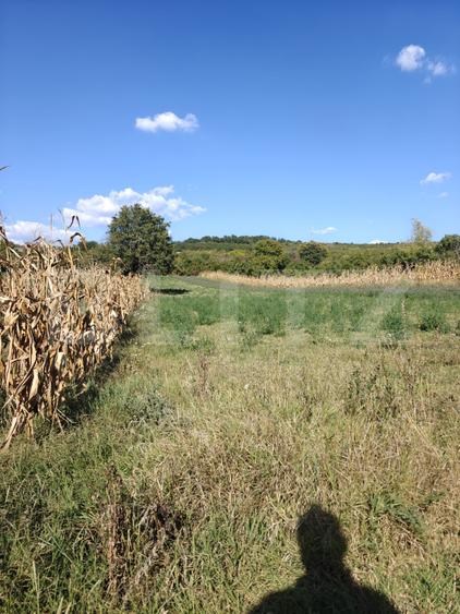 Teren intravilan în Călinești, județul Argeș