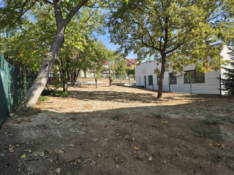 Apartamente de vanzare, intre 42 si 77 mp utili