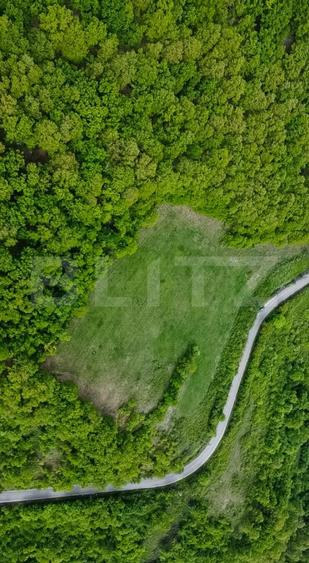 Teren superb, în mijlocul naturii, 18.360 mp, la Cărjiți