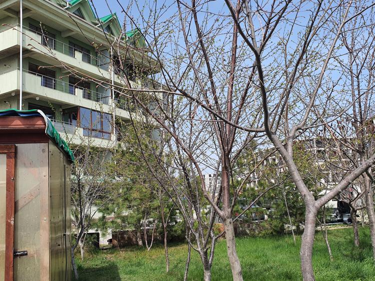 Mamaia Sat-malul lacului, apartament 2 camere,70mp, mobilat,utilat, parcare
