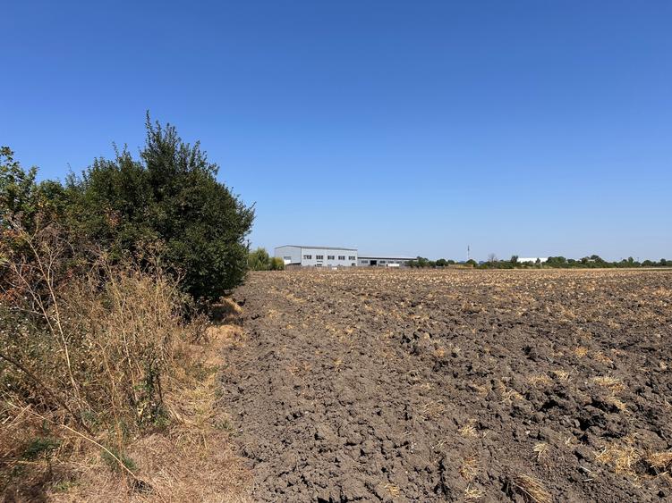 NOVARIS REAL ESTATE – TEREN INTRAVILAN DE VÂNZARE 5600 MP
